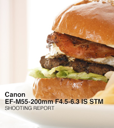 Canon EF-M55-200mm F4.5-5.6 IS STM  SHOOTING REPORT
