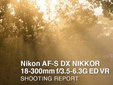 NIKON AF-S DX NIKKOR 18-300mm f/3.5-6.3G ED VR  SHOOTING REPORT