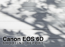 Canon EOS 6D  SHOOTING REPORT