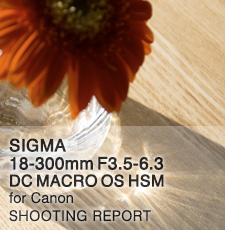 SIGMA 18-300mm F3.5-6.3 DC MACRO OS HSM for Canon  SHOOTING REPORT