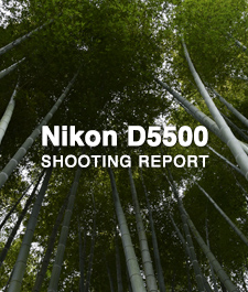 Nikon D5500  SHOOTING REPORT
