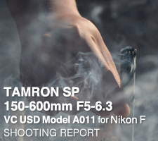 TAMRON SP 150-600mm F5-6.3 VC USD [Model A011]  SHOOTING REPORT