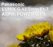 LUMIX G 42.5mm F1.7 ASPH. POWER O.I.S.  SHOOTING REPORT