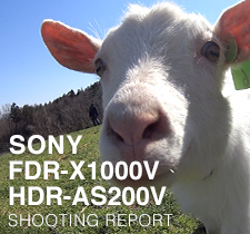 SONY FDR-X1000V / HDR-AS200V SHOOTING REPORT