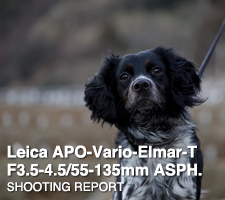 Leica APO-Vario-Elmar-T F3.5-4.5/55-135mm ASPH.  SHOOTING REPORT