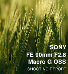 SONY SEL90M28G FE 90mm F2.8 Macro G OSS SHOOTING REPORT