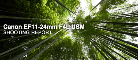Canon EF11-24mm F4L USM  SHOOTING REPORT