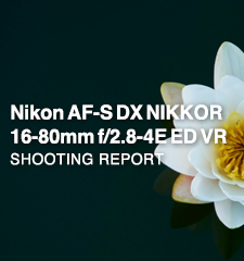 Nikon AF-S DX NIKKOR 16-80mm f/2.8-4E ED VR  SHOOTING REPORT