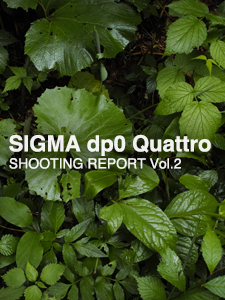 SIGMA dp0 Quattro  SHOOTING REPORT