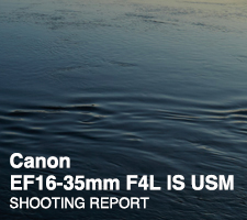 Canon EF16-35mm F4L IS USM  SHOOTING REPORT
