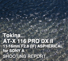 Tokina AT-X 116 PRO DX II 11-16mm F2.8 (IF) ASPHERICAL  SHOOTING REPORT