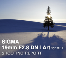 SIGMA 19mm F2.8 DN | Art for MFT  SHOOTING REPORT