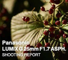 Panasonic LUMIX G 25mm F1.7 ASPH.  SHOOTING REPORT