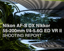Nikon AF-S DX Nikkor 55-200mm f/4-5.6G ED VR II  SHOOTING REPORT