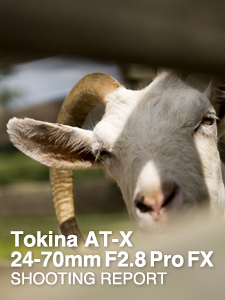 Tokina AT-X 24-70mm F2.8 PRO FX  SHOOTING REPORT