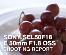 SONY SEL50F18 E 50mm F1.8 OSS  SHOOTING REPORT