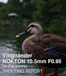 Voigtländer NOKTON 10.5mm F0.95 for Panasonic  SHOOTING REPORT