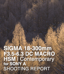 SIGMA 18-300mm F3.5-6.3 DC HSM for SONY A  SHOOTING REPORT