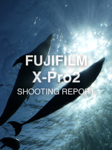 FUJIFILM X-Pro2  SHOOTING REPORT