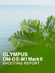 OLYMPUS OM-D E-M1 Mark II  SHOOTING REPORT