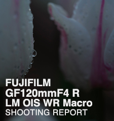FUJIFILM GF120mmF4 R LM OIS WR Macro  SHOOTING REPORT