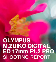 OLYMPUS M.ZUIKO DIGITAL ED 17mm F1.2 PRO  SHOOTING REPORT
