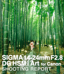 SIGMA 14-24mm F2.8 DG HSM | Art for Canon  SHOOTING REPORT