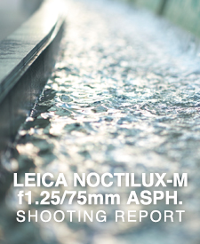 LEICA NOCTILUX-M f1.25/75mm ASPH.  SHOOTING REPORT