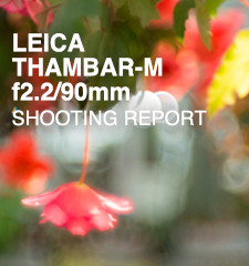 LEICA THAMBAR-M f2.2/90mm ASPH.  SHOOTING REPORT