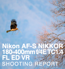 Nikon AF-S NIKKOR 180-400mm f/4E TC1.4 FL ED VR  SHOOTING REPORT