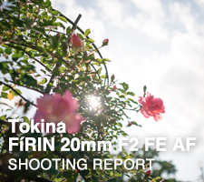 FíRIN 20mm F2 FE AF  SHOOTING REPORT