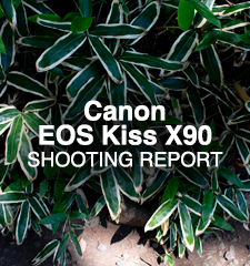 Canon EOS Kiss X90  SHOOTING REPORT