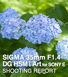 SIGMA 35mm F1.4 DG HSM | Art for SONY FE  SHOOTING REPORT