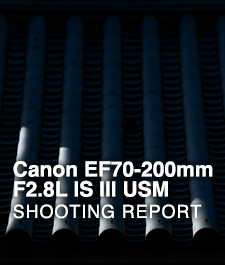 Canon EF70-200mm F2.8L IS III USM  SHOOTING REPORT