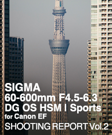 SIGMA 60-600mm F4.5-6.3 DG OS HSM | Sports  SHOOTING REPORT Vol.2
