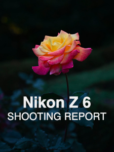Nikon Z 6  SHOOTING REPORT