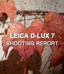 LEICA D-LUX 7  SHOOTING REPORT