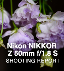 Nikon NIKKOR Z 50mm f/1.8 S  SHOOTING REPORT
