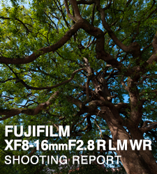 FUJIFILM XF8-16mmF2.8 R LM WR  SHOOTING REPORT