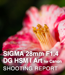 SIGMA 28mm F1.4 DG HSM | Art for Canon EF  SHOOTING REPORT