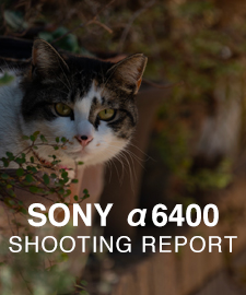 SONY α6400  SHOOTING REPORT