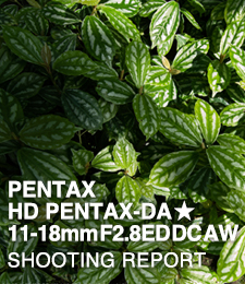 HD PENTAX-DA★11-18mmF2.8ED DC AW  SHOOTING REPORT