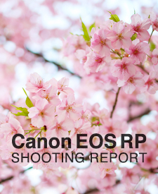 Canon EOS RP  SHOOTING REPORT