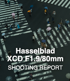 Hasselblad XCD F1.9/80mm  SHOOTING REPORT