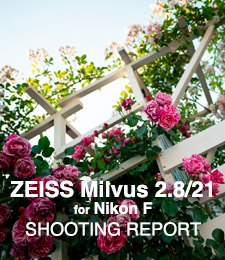 ZEISS Milvus 2.8/21 for Nikon F  SHOOTING REPORT