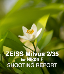 ZEISS Milvus 2/35 for Nikon F  SHOOTING REPORT