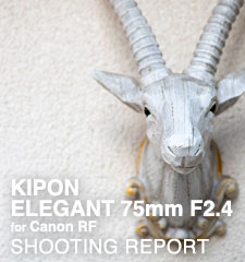 KIPON ELEGANT 75mm F2.4 for Canon RF  SHOOTING REPORT