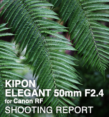 KIPON ELEGANT 50mm F2.4 for Canon RF  SHOOTING REPORT