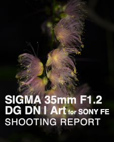 SIGMA 35mm F1.2 DG DN | Art for SONY FE  SHOOTING REPORT
