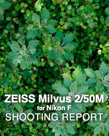 Carl Zeiss Milvus 2/50M for Nikon F  SHOOTING REPORT
